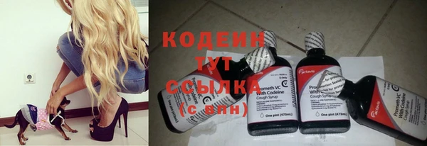 МДПВ Елизово