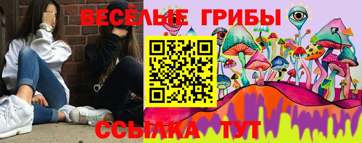 Галлюциногенные грибы Cubensis  Вход с VPN  Карачаевск 