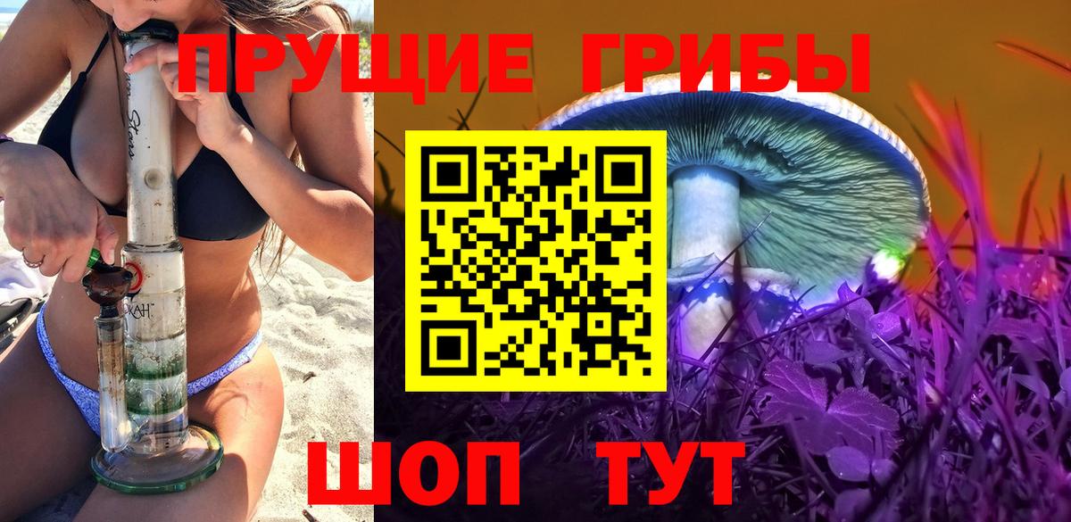 Псилоцибиновые грибы ЛСД Карачаевск